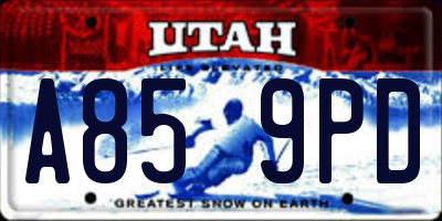 UT license plate A859PD
