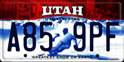 UT license plate A859PF
