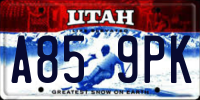 UT license plate A859PK