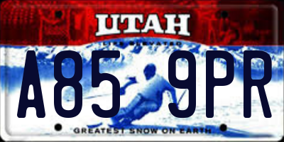 UT license plate A859PR