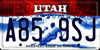 UT license plate A859SJ