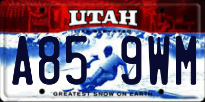 UT license plate A859WM
