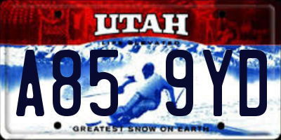 UT license plate A859YD