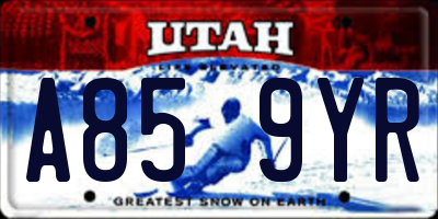 UT license plate A859YR