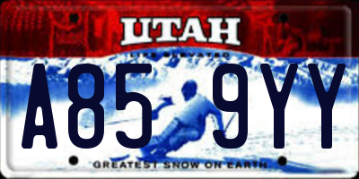 UT license plate A859YY