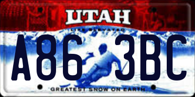 UT license plate A863BC