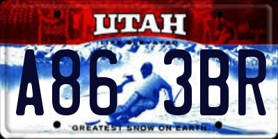 UT license plate A863BR