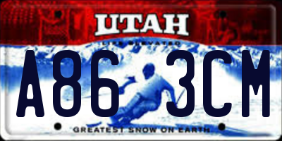 UT license plate A863CM