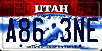UT license plate A863NE