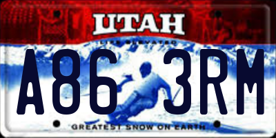 UT license plate A863RM