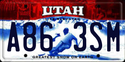 UT license plate A863SM