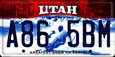 UT license plate A865BM