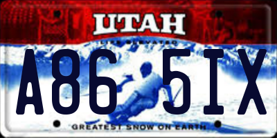 UT license plate A865IX