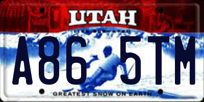 UT license plate A865TM