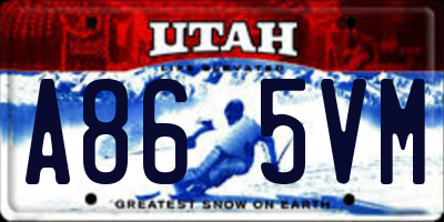 UT license plate A865VM