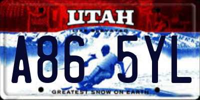 UT license plate A865YL