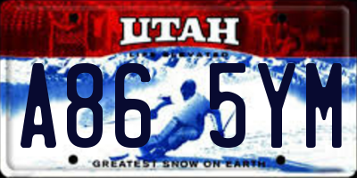 UT license plate A865YM