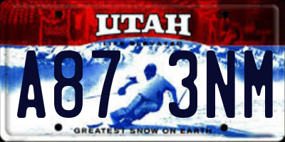 UT license plate A873NM