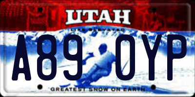 UT license plate A890YP