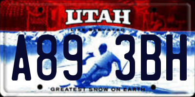 UT license plate A893BH