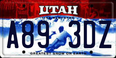 UT license plate A893DZ