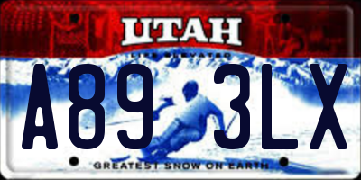 UT license plate A893LX