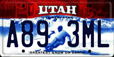 UT license plate A893ML