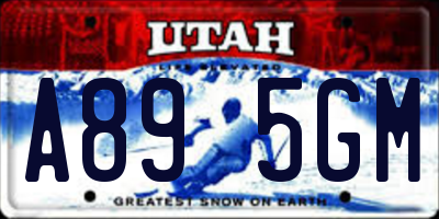 UT license plate A895GM