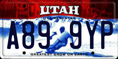 UT license plate A899YP