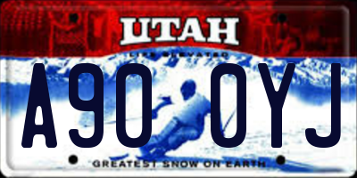 UT license plate A900YJ
