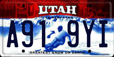 UT license plate A919YI