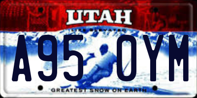 UT license plate A950YM
