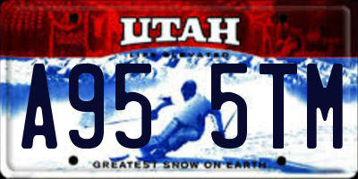 UT license plate A955TM