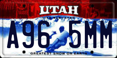 UT license plate A965MM