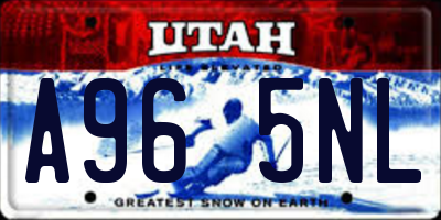 UT license plate A965NL