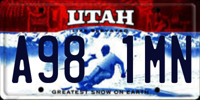 UT license plate A981MN