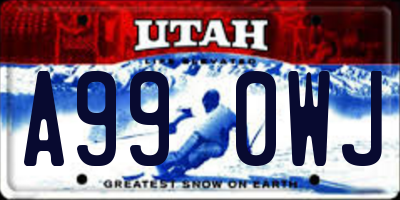 UT license plate A990WJ