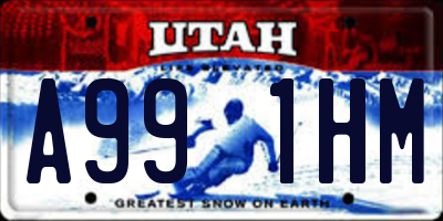 UT license plate A991HM