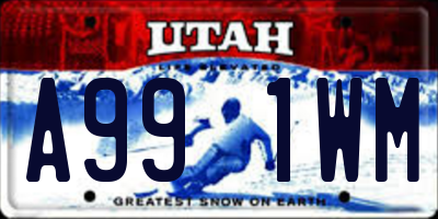 UT license plate A991WM