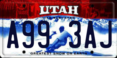 UT license plate A993AJ
