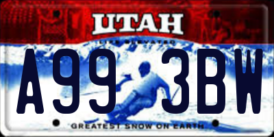 UT license plate A993BW