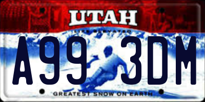 UT license plate A993DM