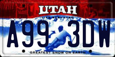 UT license plate A993DW
