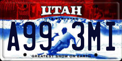 UT license plate A993MI