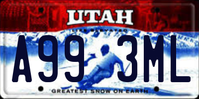 UT license plate A993ML