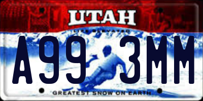 UT license plate A993MM