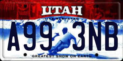 UT license plate A993NB