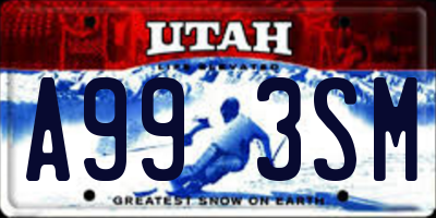 UT license plate A993SM