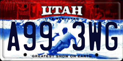 UT license plate A993WG