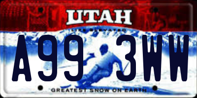 UT license plate A993WW